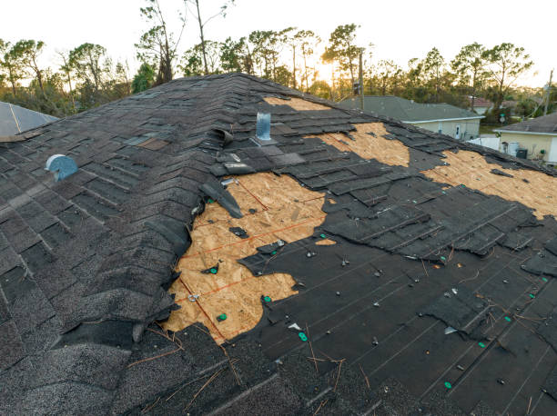 Best Metal Roofing Installation  in Garden View, PA